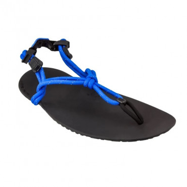 Sandale minimaliste Xero Shoes Genesis Homme bleuu