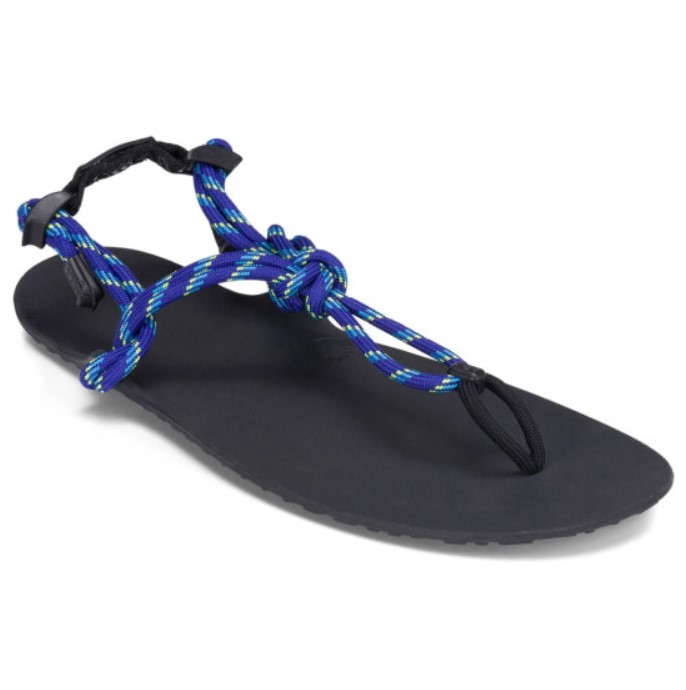 Sandale minimaliste Xero Shoes Genesis Homme Bleu