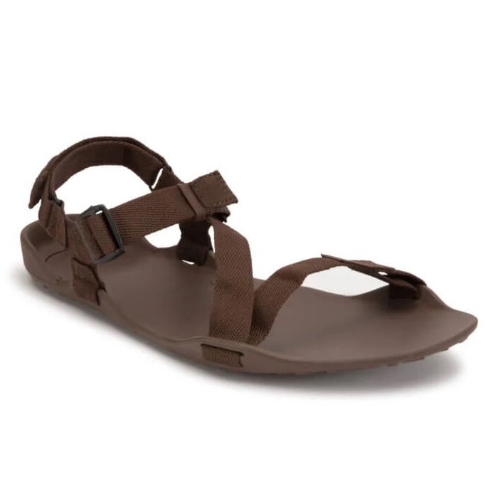 Sandales minimalistes Xero Shoes Z-Trek 2 homme brown